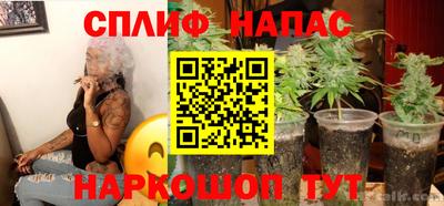 гидра Краснодар
