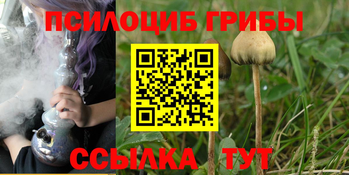 Псилоцибиновые грибы MAGIC MUSHROOMS Фурманов