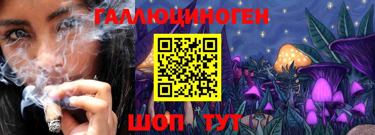 Фурманов  Галлюциногенные грибы ЛСД  Вход с VPN 